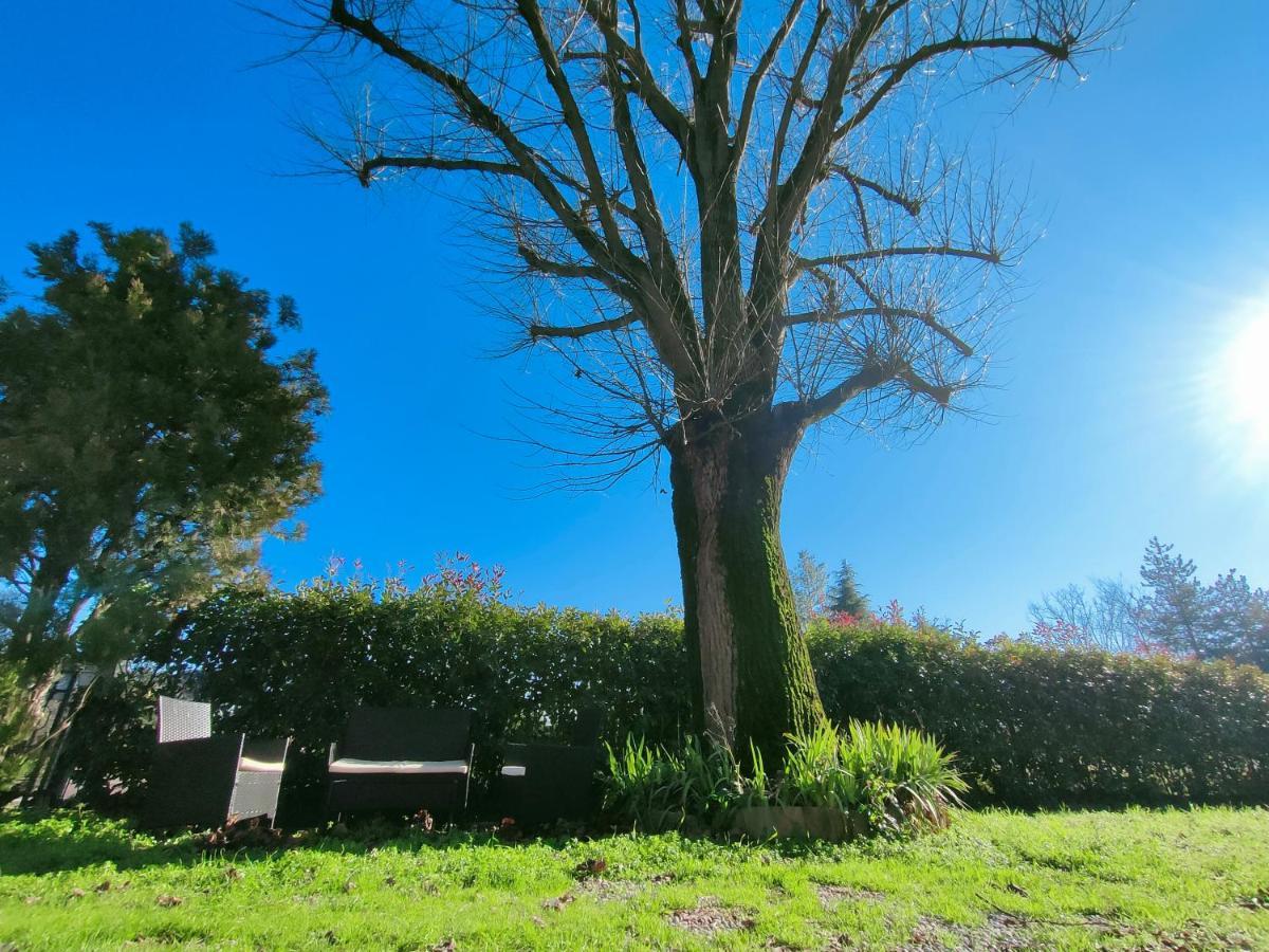 Il Tiglio B&B Dozza Exteriér fotografie