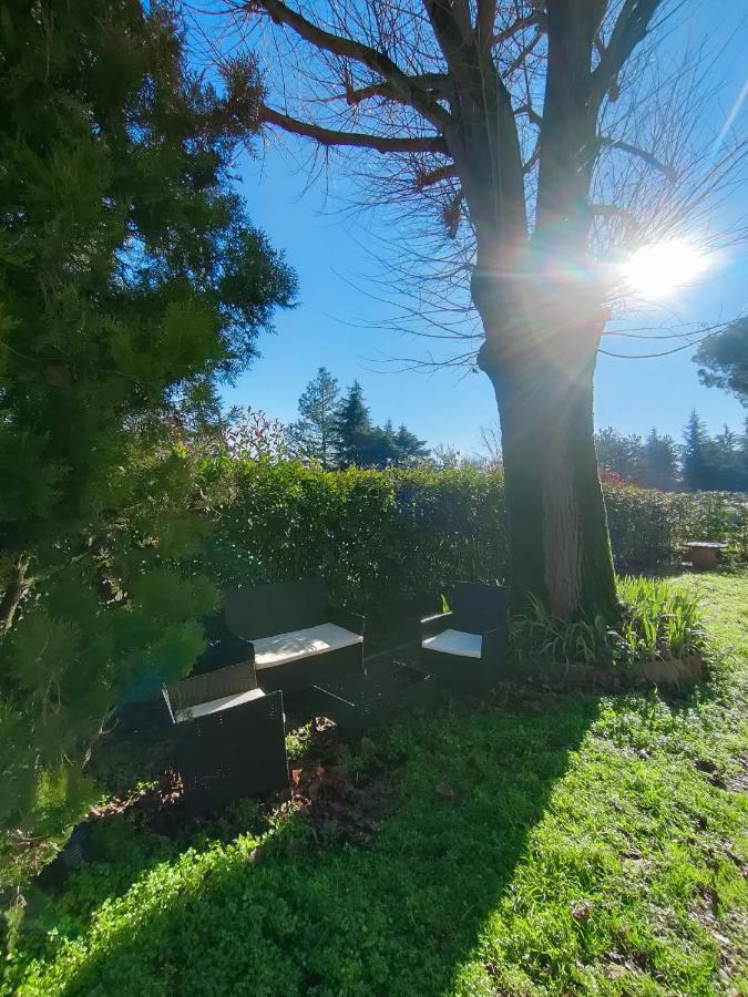 Il Tiglio B&B Dozza Exteriér fotografie