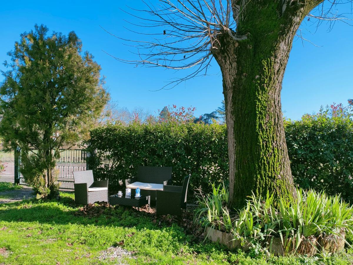 Il Tiglio B&B Dozza Exteriér fotografie