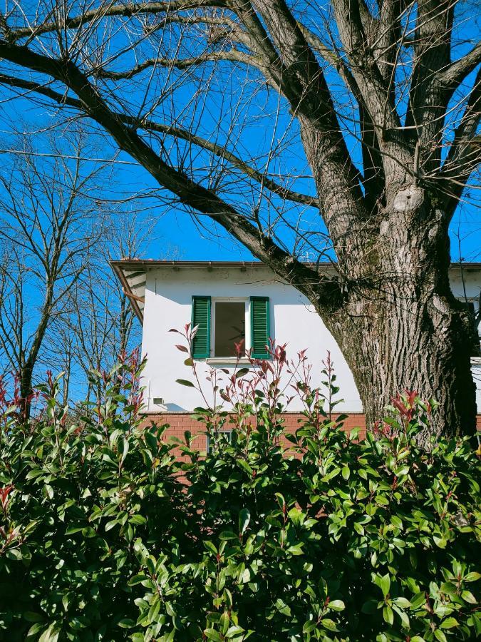Il Tiglio B&B Dozza Exteriér fotografie
